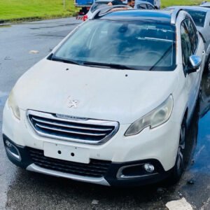 Capo e pára-choque do peugeot 2008